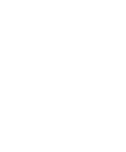 Feature icon 1
