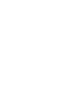 Feature icon 2